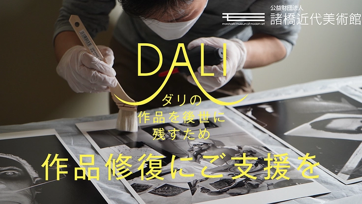 ダリの初期作品を救え！諸橋近代美術館がクラウドファンディングに挑戦